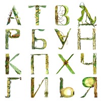 Уменьшенная копия