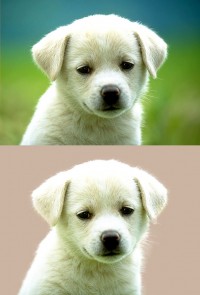 Уменьшенная копия