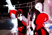 Уменьшенная копия