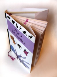 Уменьшенная копия