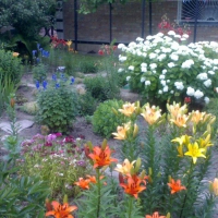 Уменьшенная копия