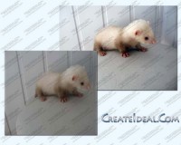 Уменьшенная копия