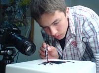 Уменьшенная копия