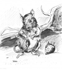 Уменьшенная копия