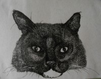 Уменьшенная копия