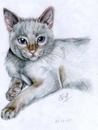 Уменьшенная копия