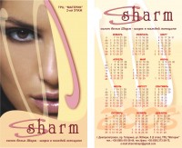 Уменьшенная копия