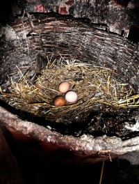 Уменьшенная копия