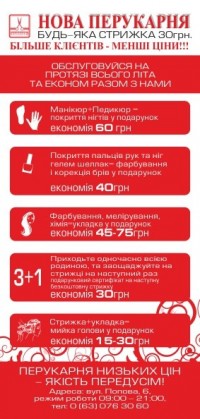 Уменьшенная копия