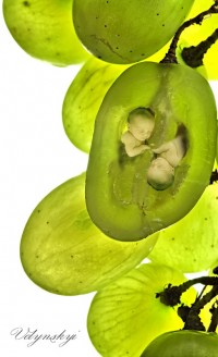 Уменьшенная копия