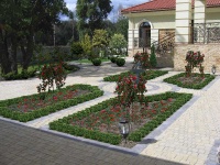 Уменьшенная копия