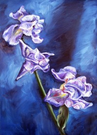 Уменьшенная копия