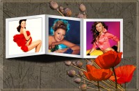 Уменьшенная копия