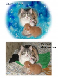 Уменьшенная копия