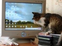 Уменьшенная копия