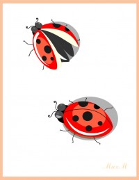 Уменьшенная копия