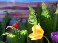 Уменьшенная копия